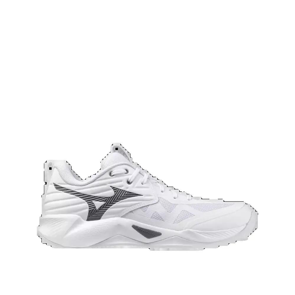 MIZUNO picture