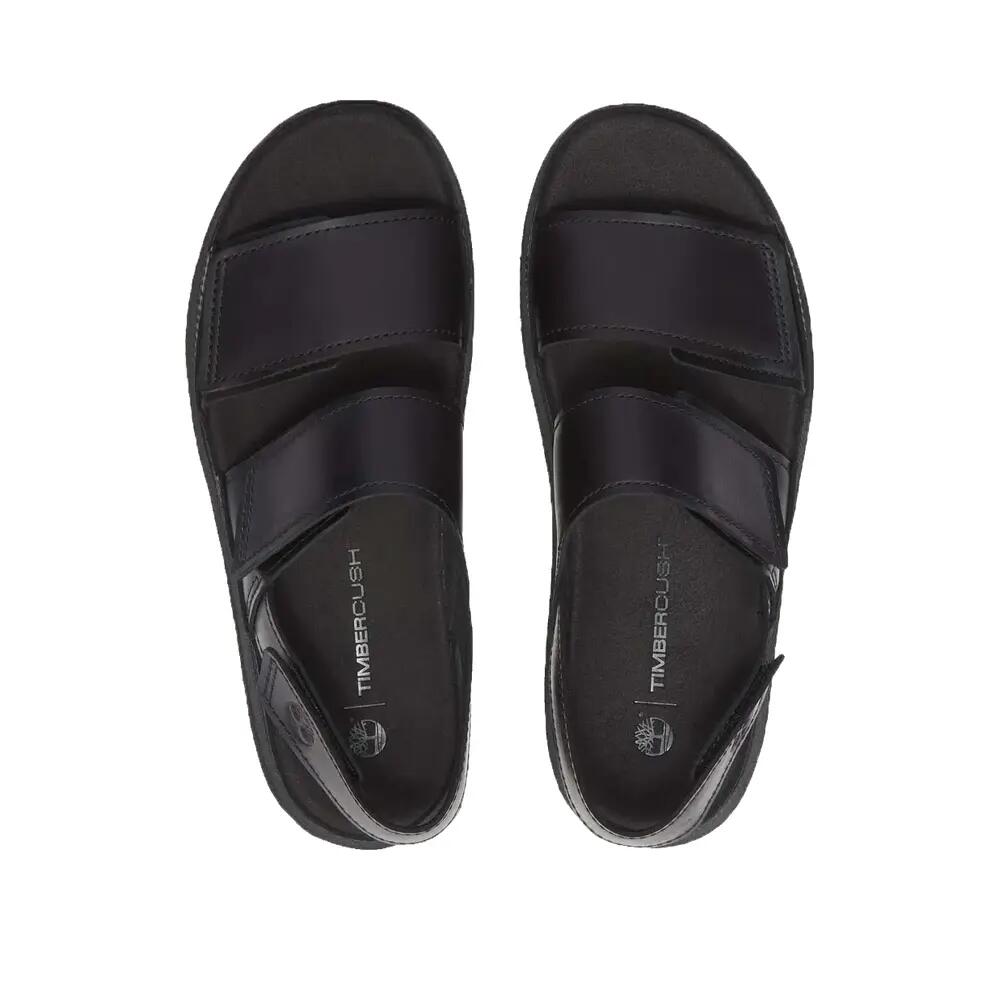 Sandales Timberland CSCO BACKSTRAP SANDAL  16 6/9