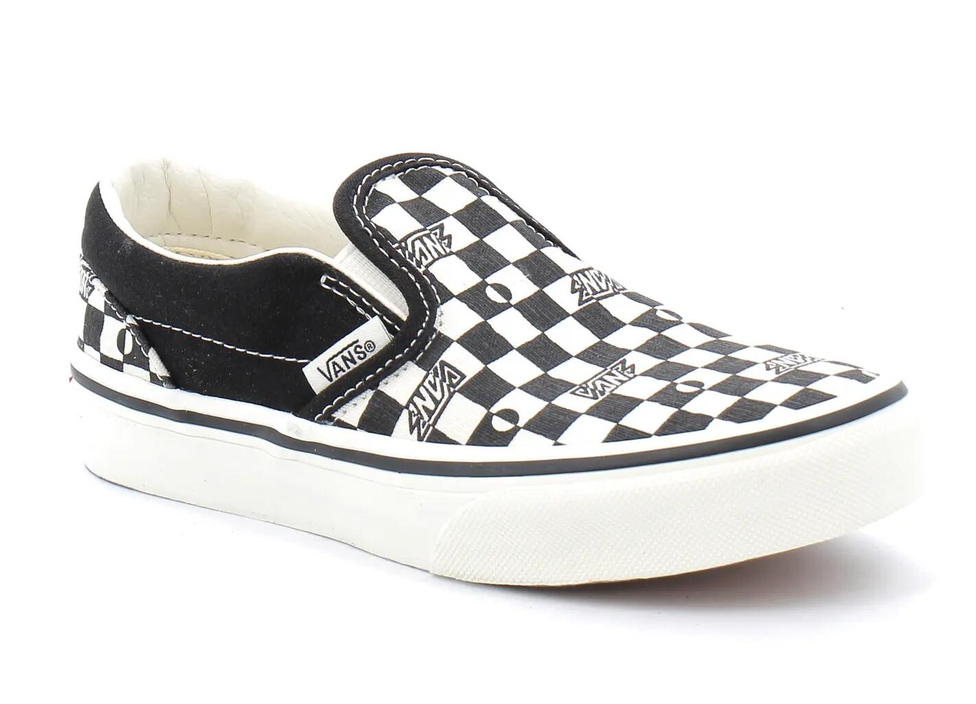 VANS picture