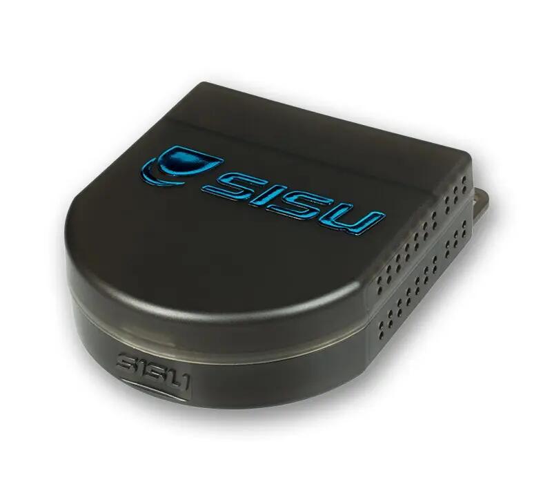 SISU picture