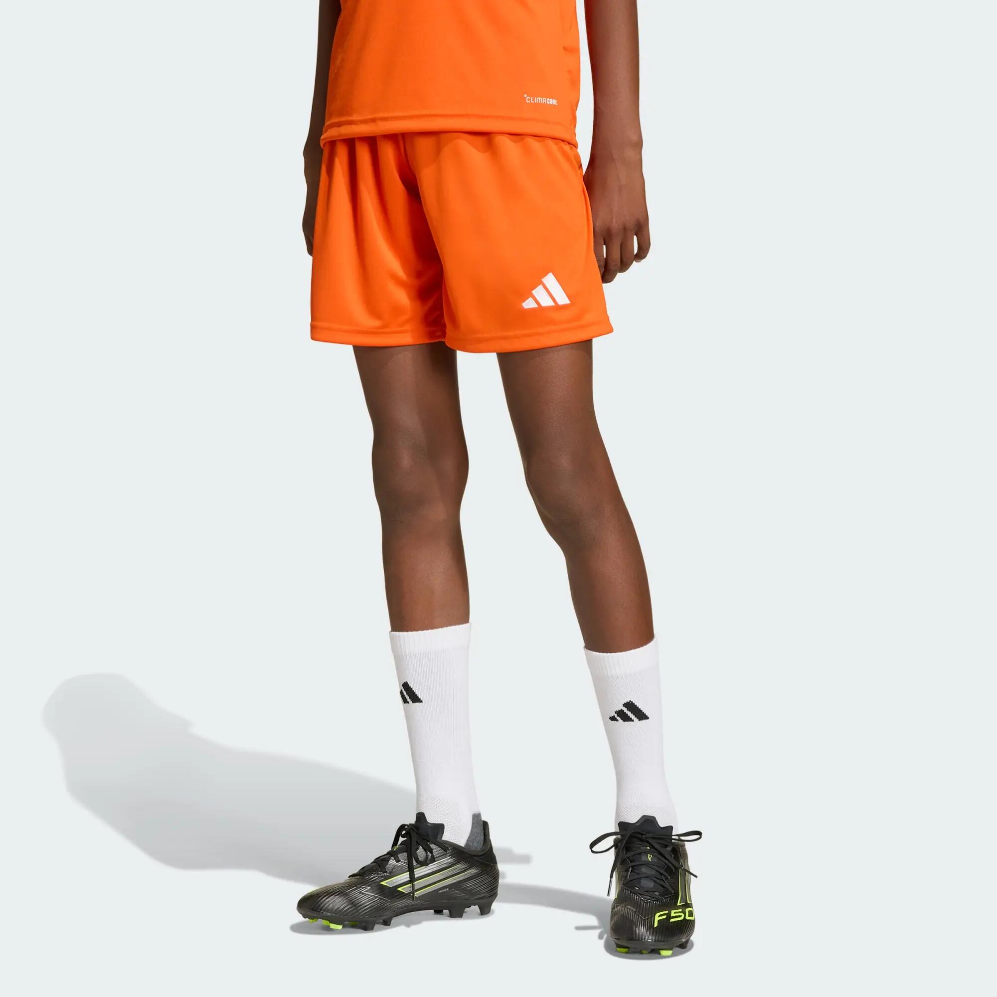 ADIDAS picture