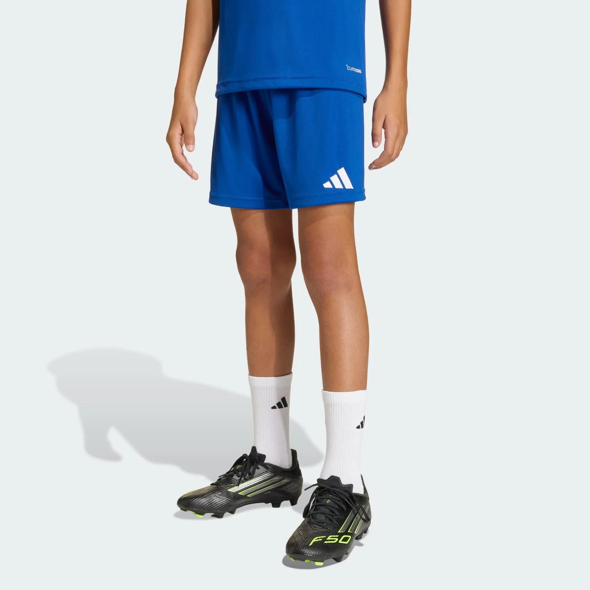 ADIDAS picture