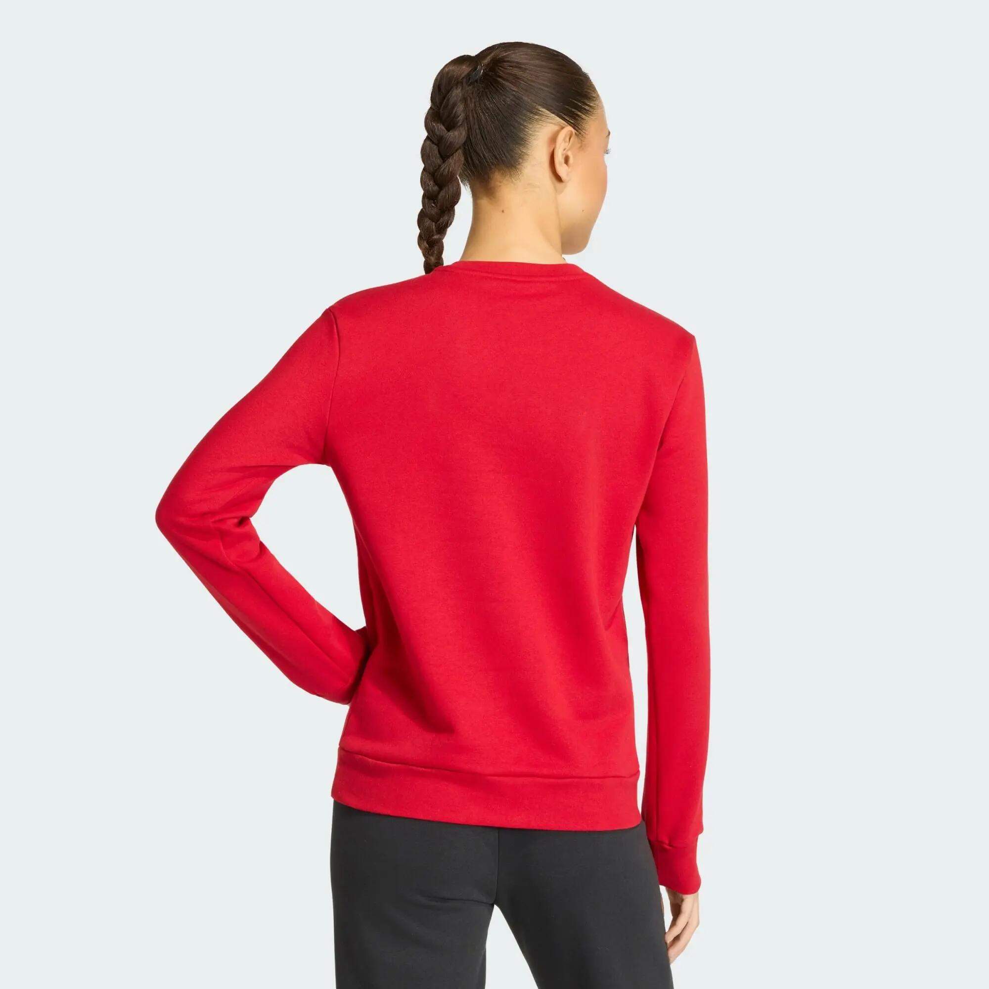 Entrada26 Sweatshirt 3/12