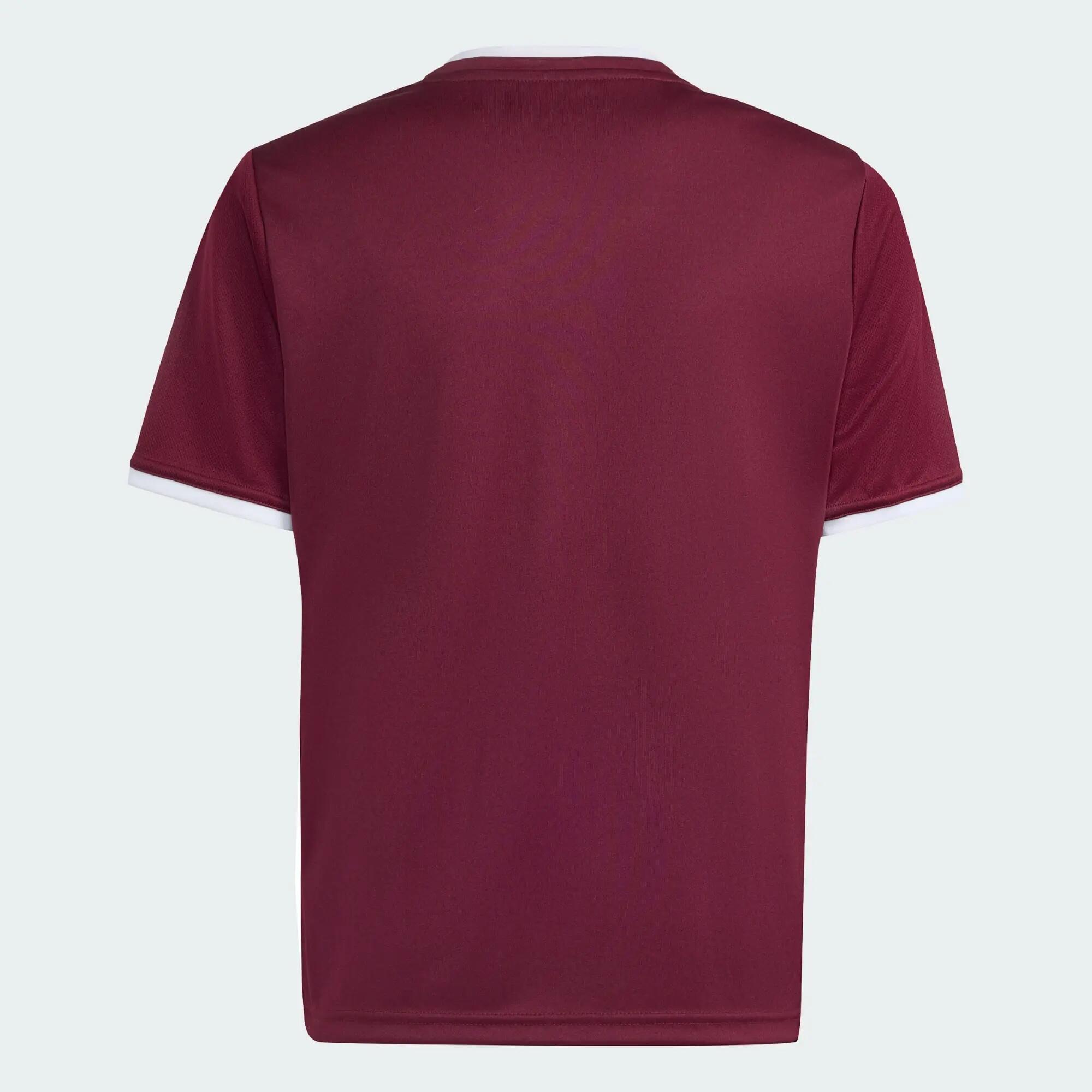 Camiseta Entrada26 5/12