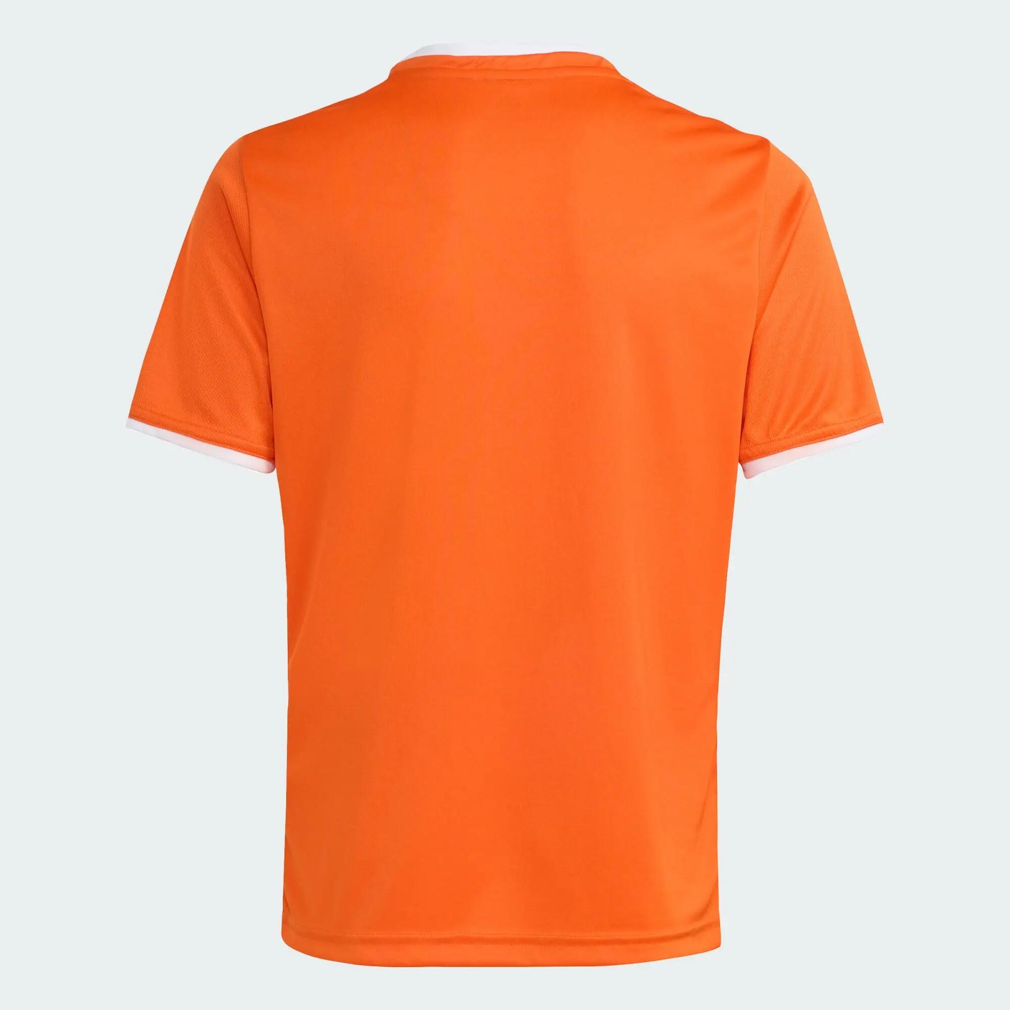 Camiseta Entrada26 5/12