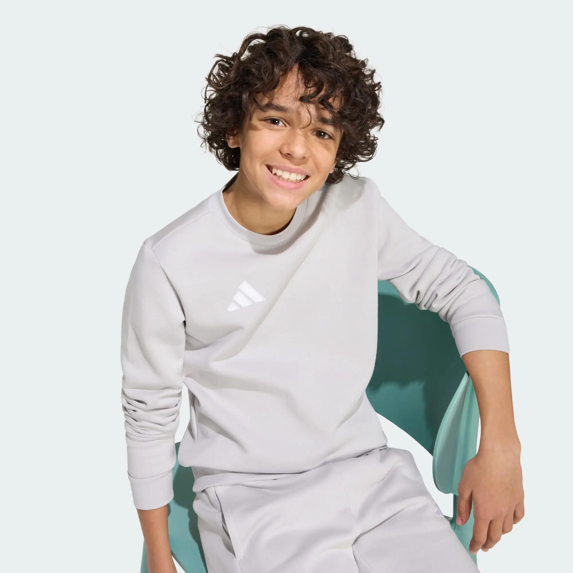 Sudadera Entrada26 4/11