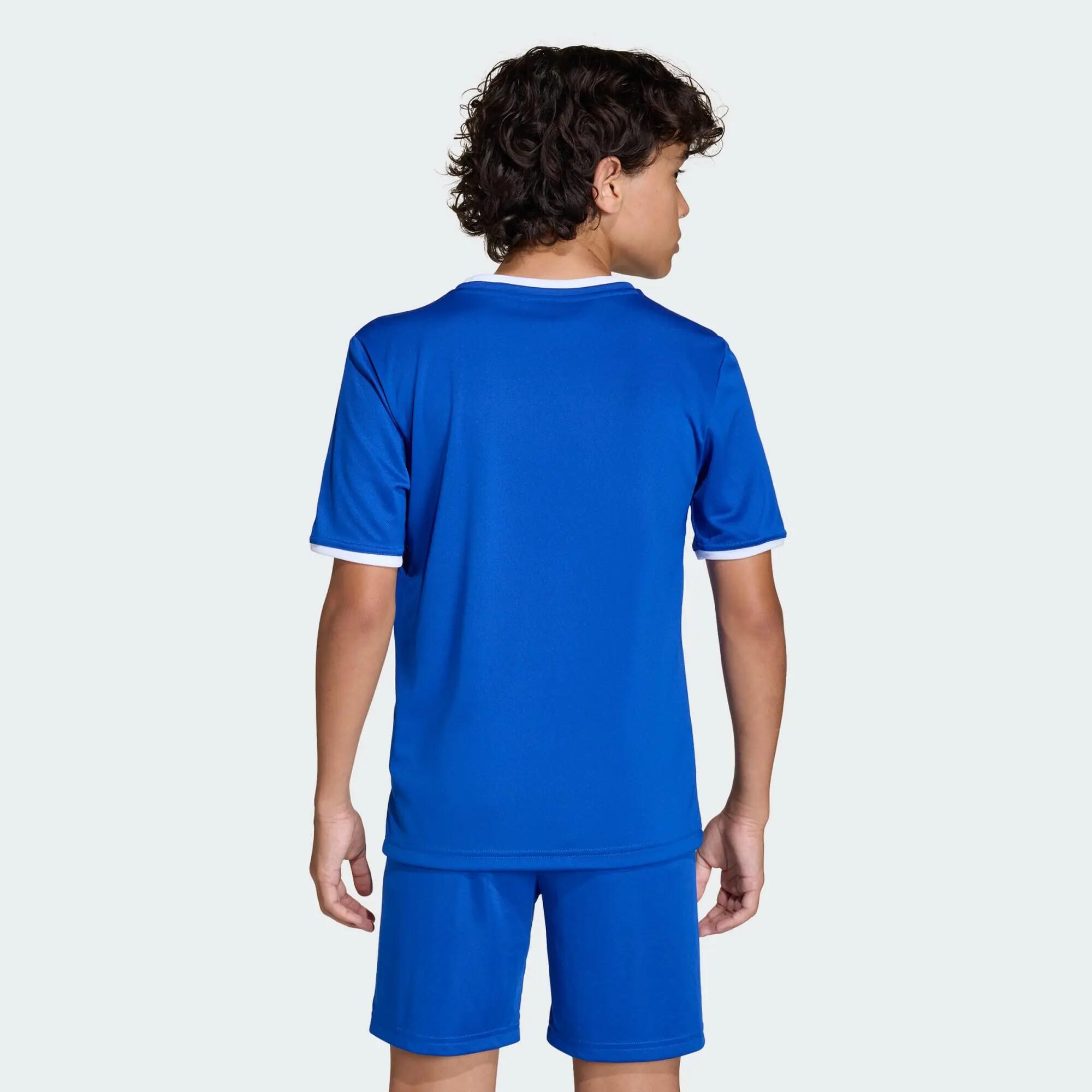 Entrada26 Trikot Kids 3/12