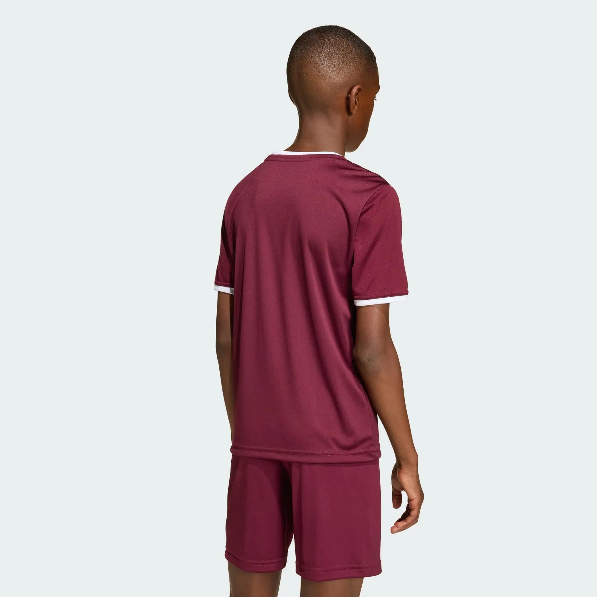 Camiseta Entrada26 3/12