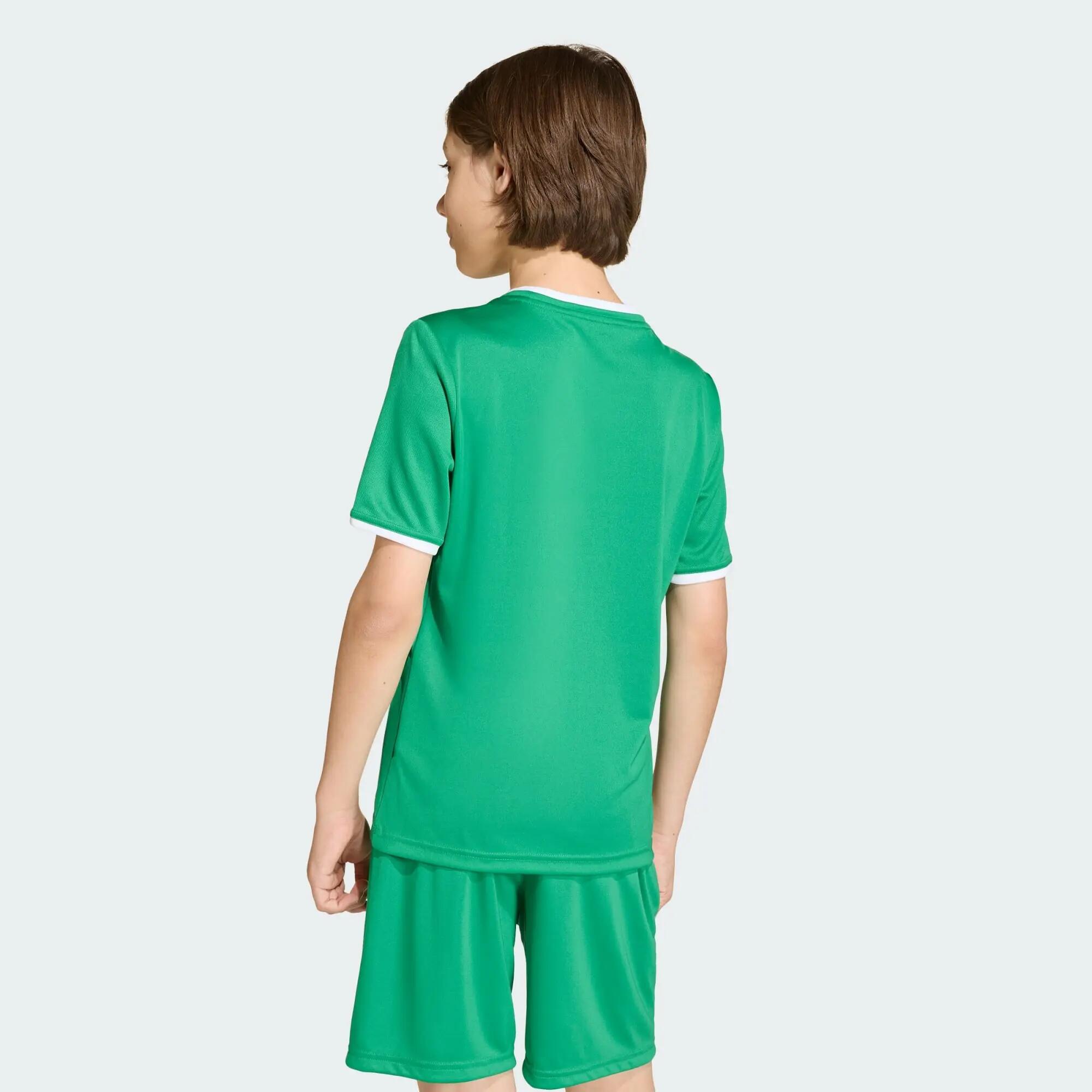 Camiseta Entrada26 3/12
