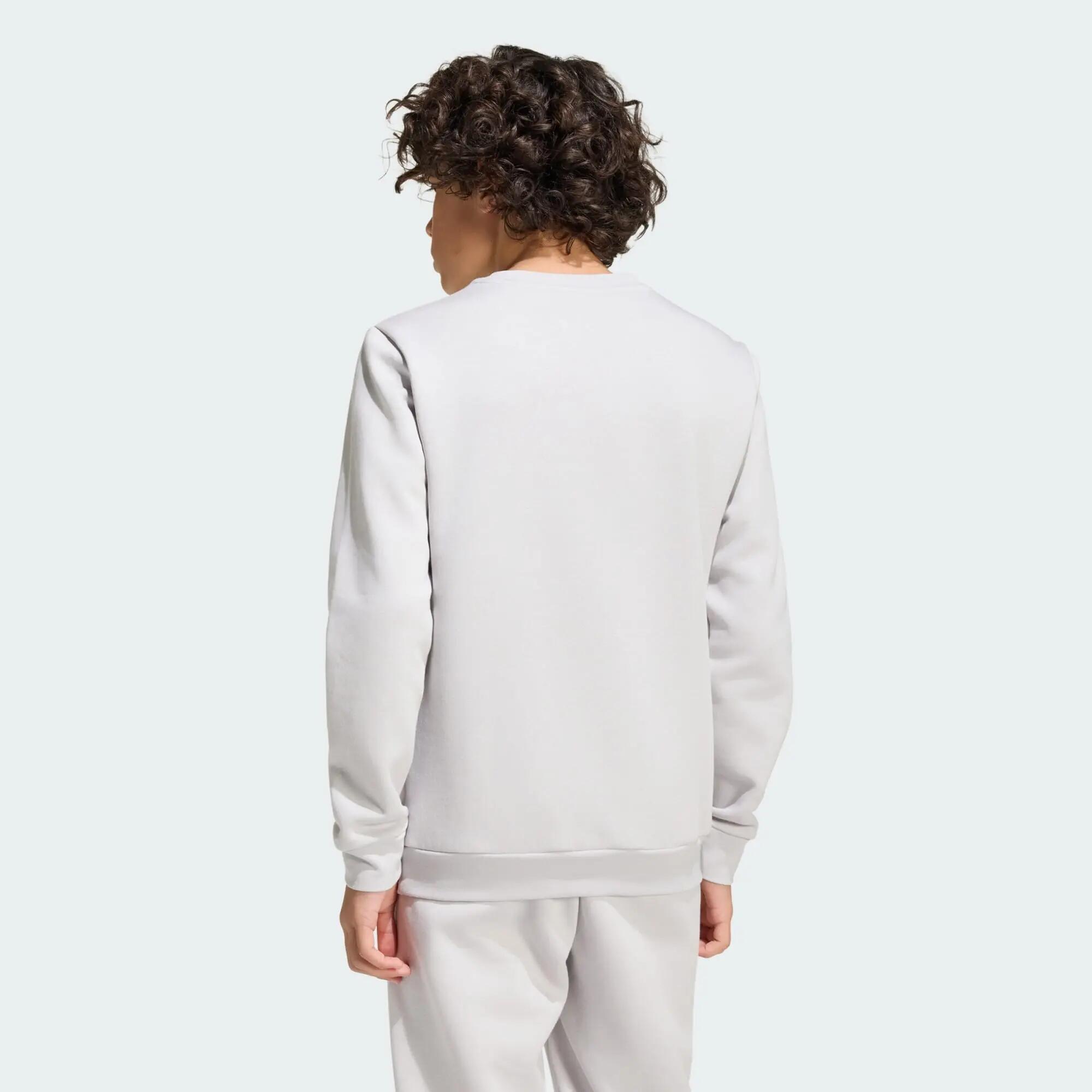Sudadera Entrada26 3/11