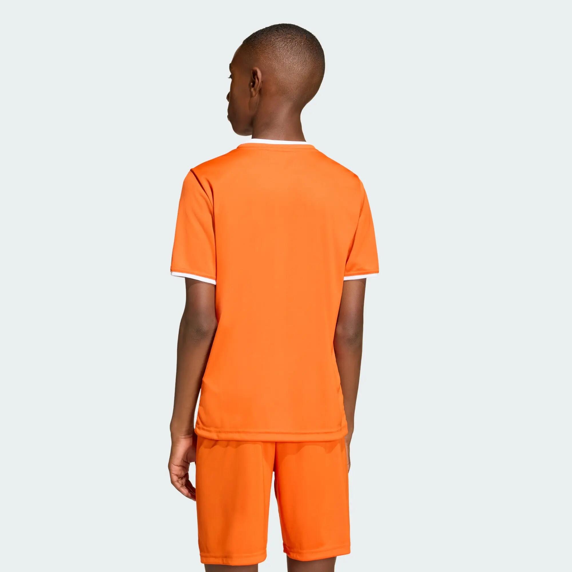 Camiseta Entrada26 3/12