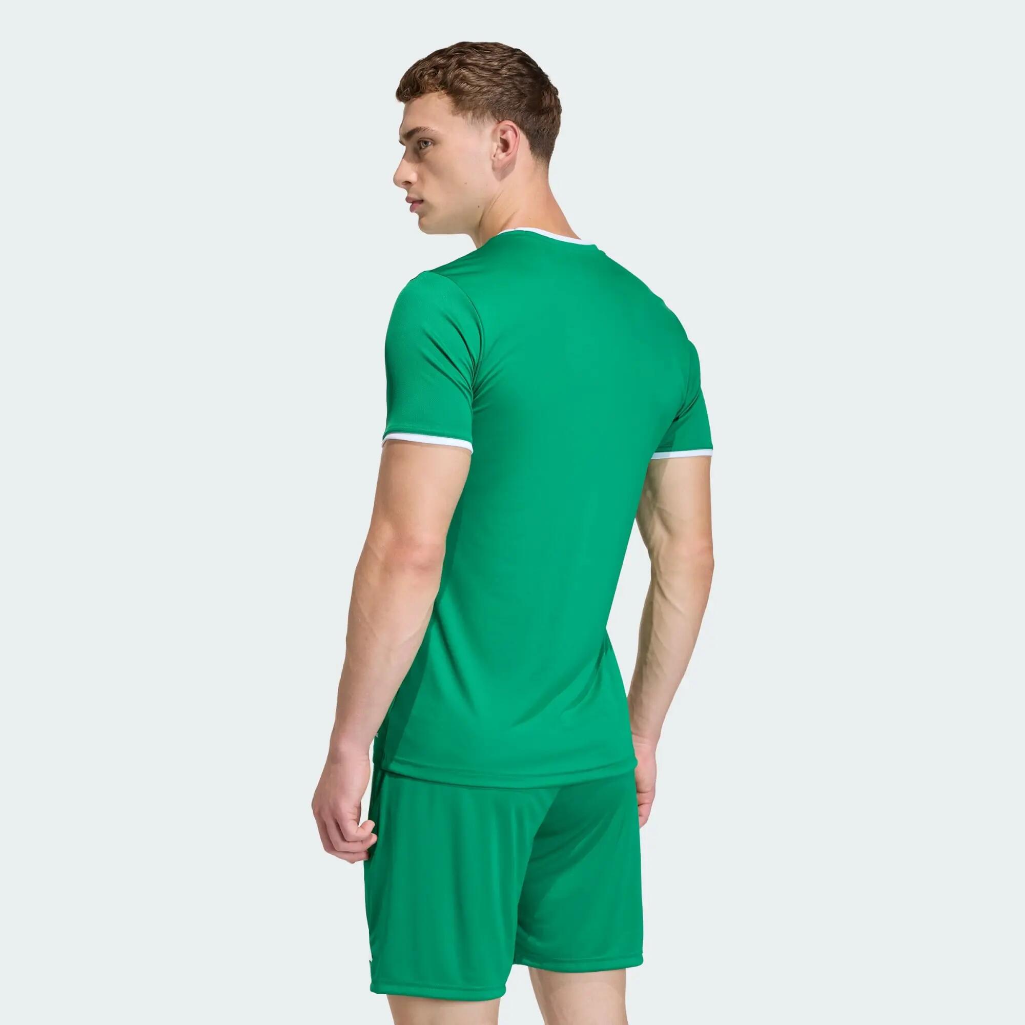 Camisola Entrada26 3/12