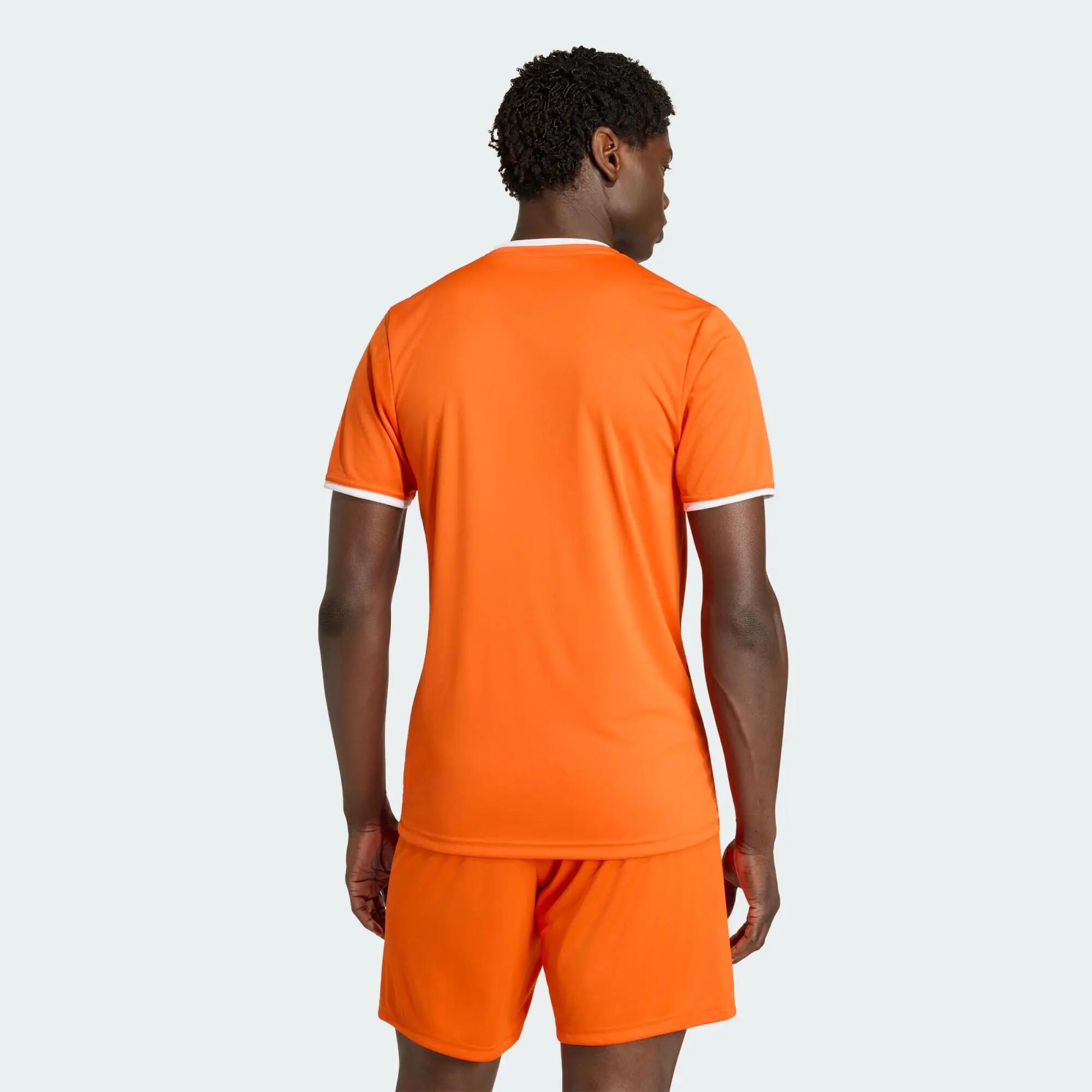 Camiseta Entrada26 3/12
