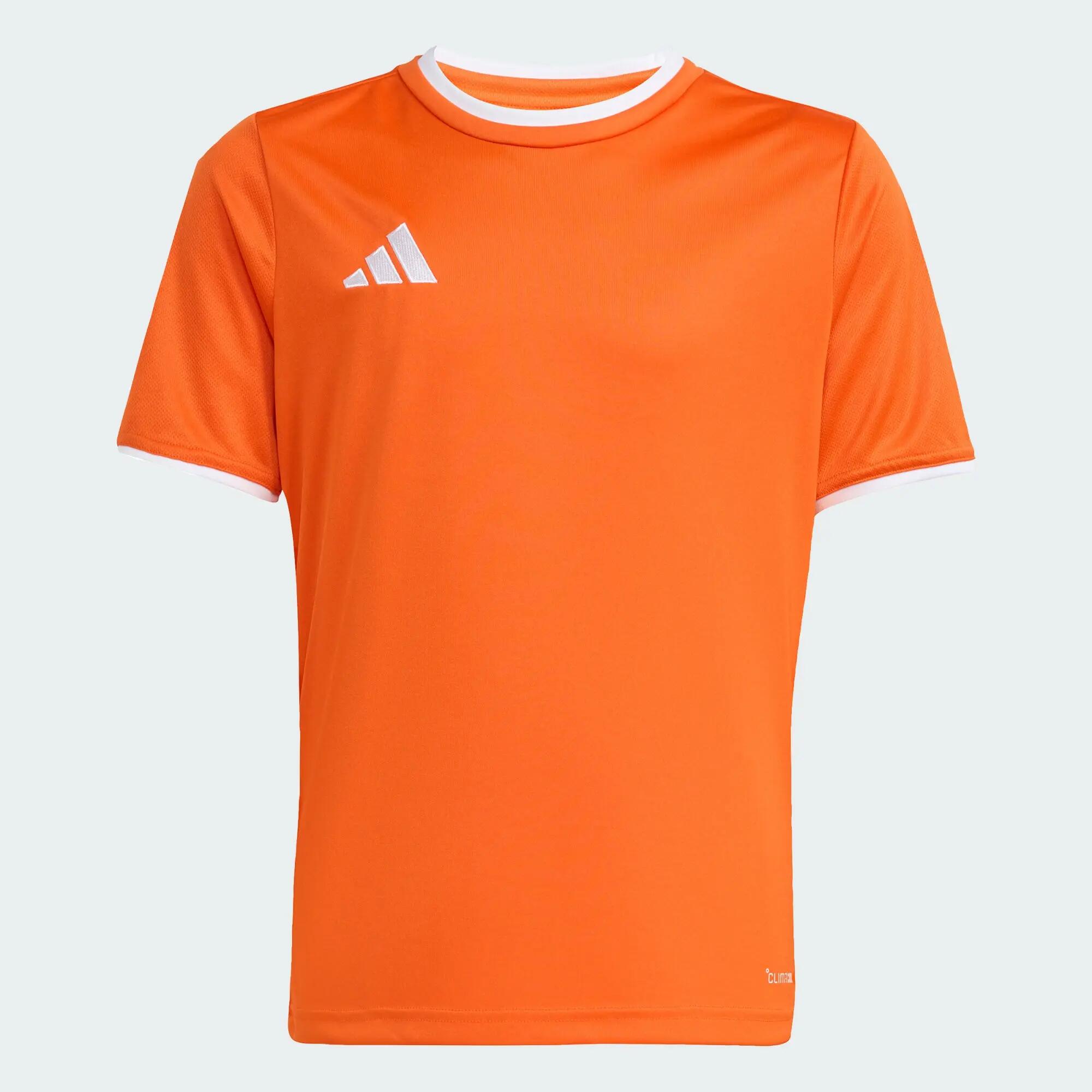 Camiseta Entrada26 2/12