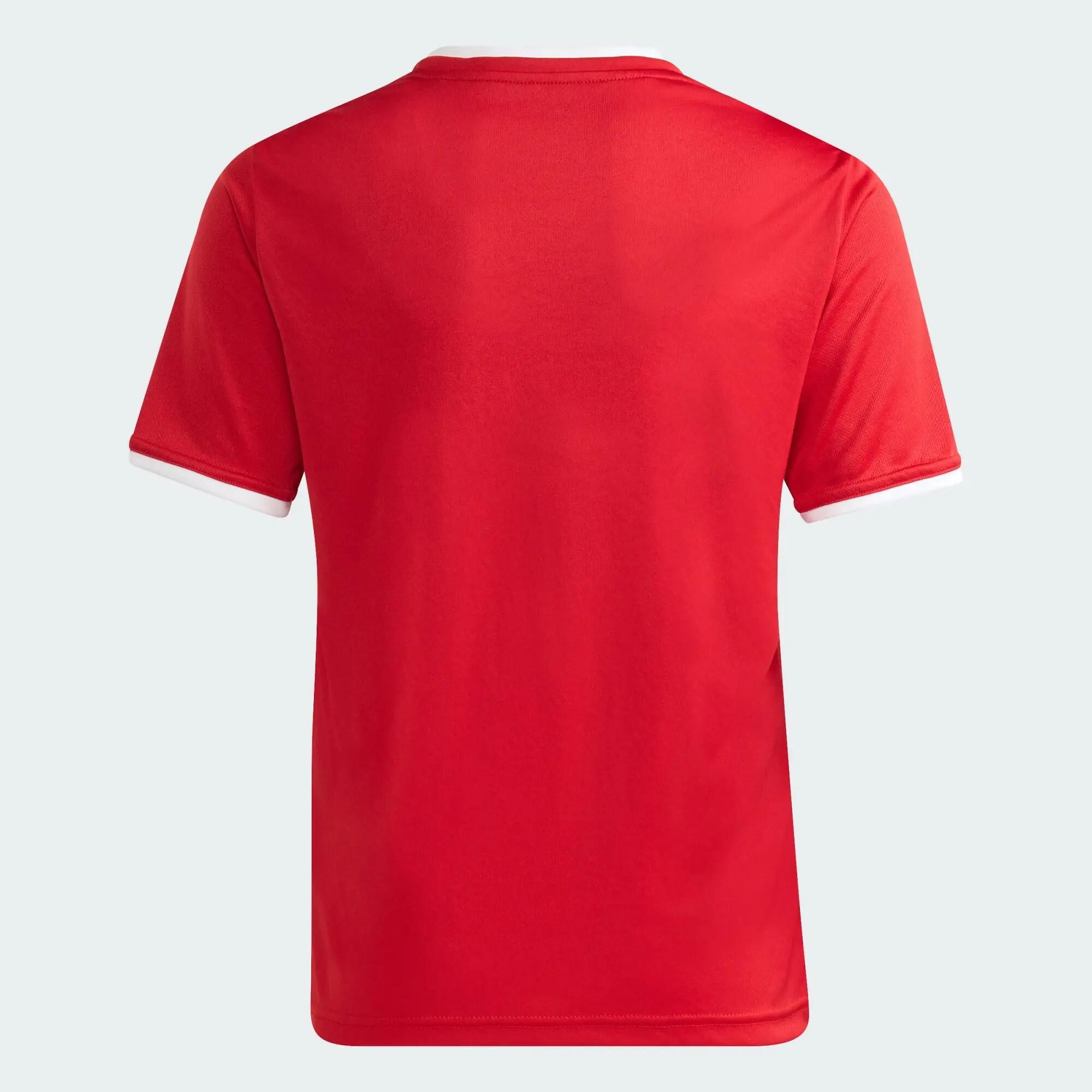 Camisola Entrada26 — Criança 5/12