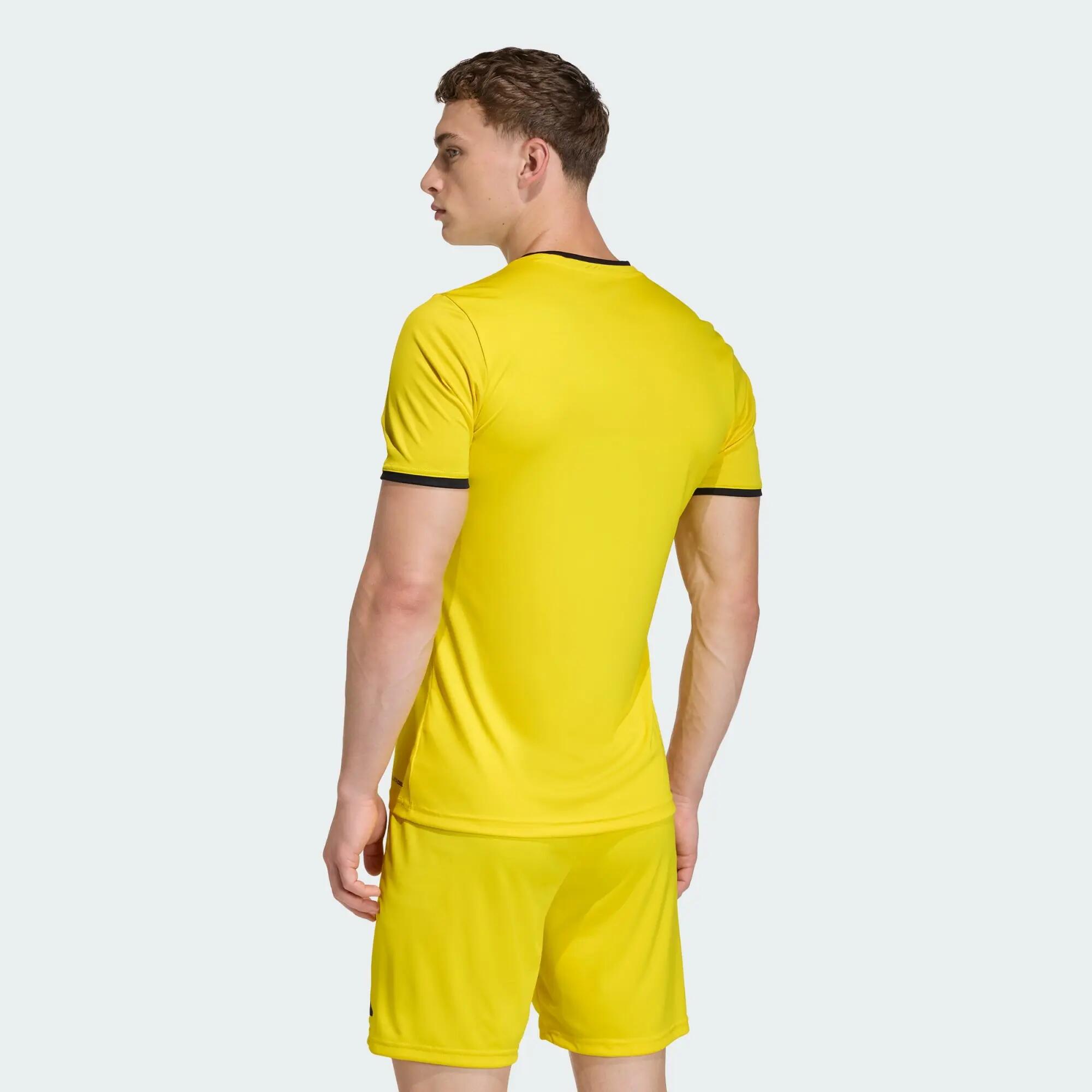 Maglia Entrada26 3/12