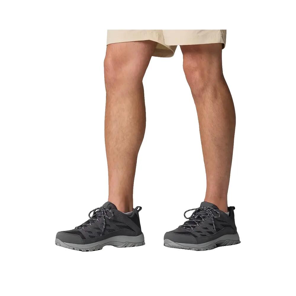 Zapatos de senderismo Columbia Crestwood Gris 10/10