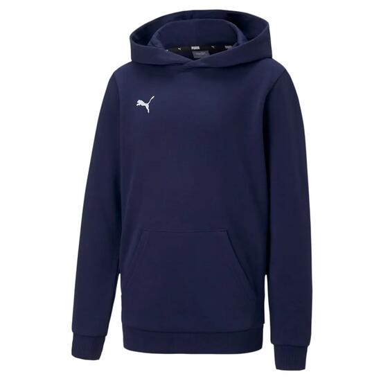 Sweat à capuche Puma Teamgoal 23 Kids, sweat-shirt unisexe, anthracite