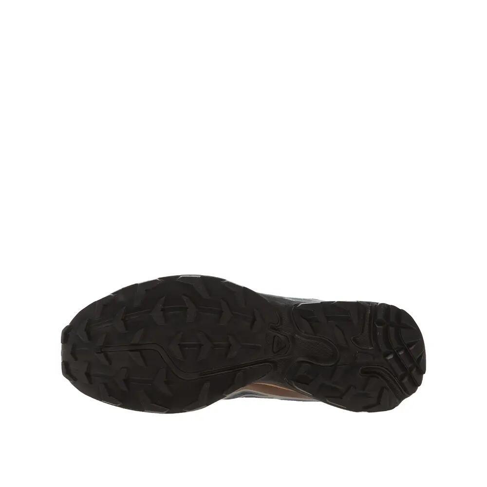 SALOMON picture