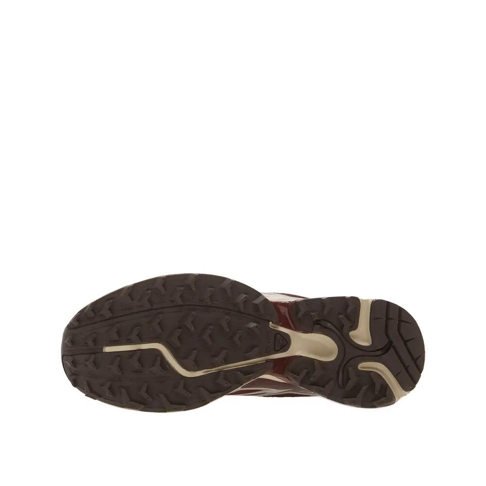 SALOMON picture