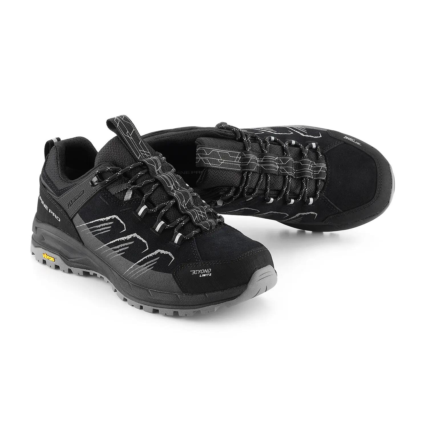 ALPINE PRO picture