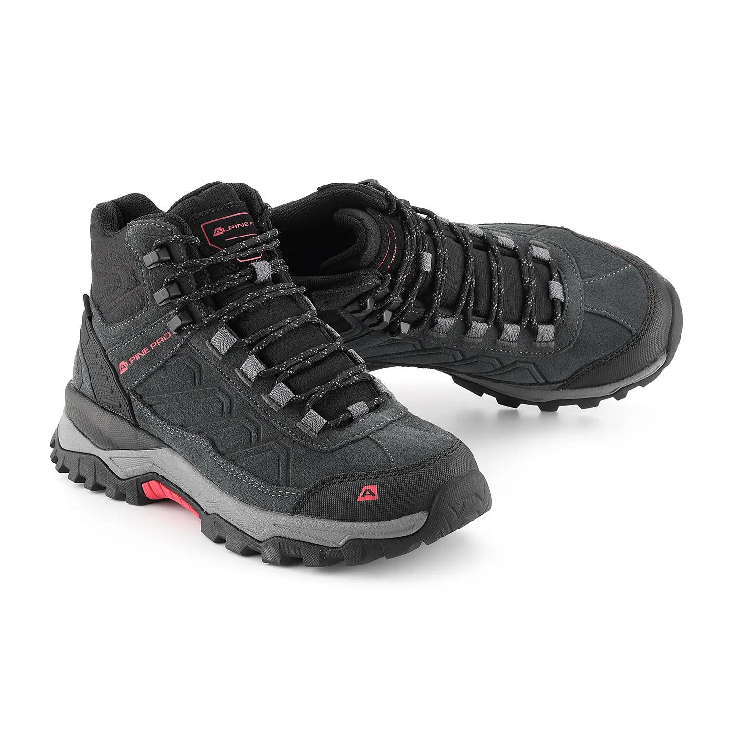 ALPINE PRO picture