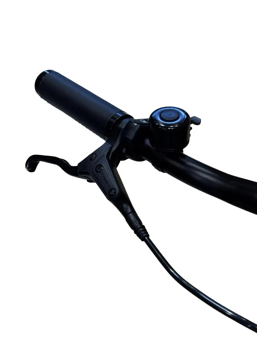 Reconditionné - Vélo électrique Tenways CGO800s Single Speed - comme neuf 5/13
