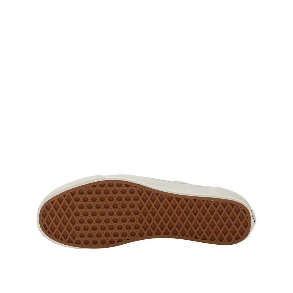 VANS picture