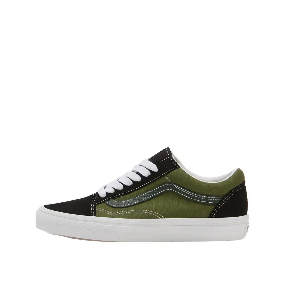 VANS picture