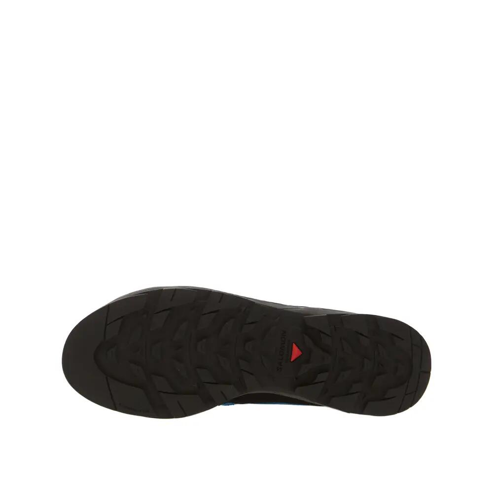 SALOMON picture