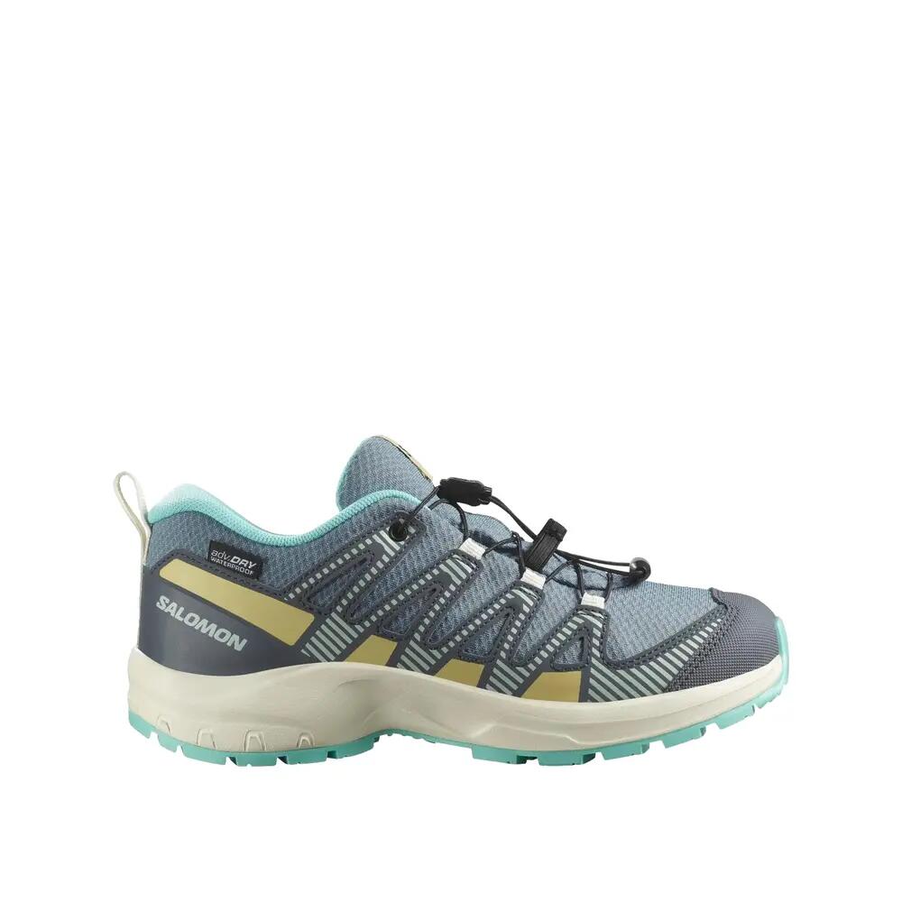 SALOMON picture