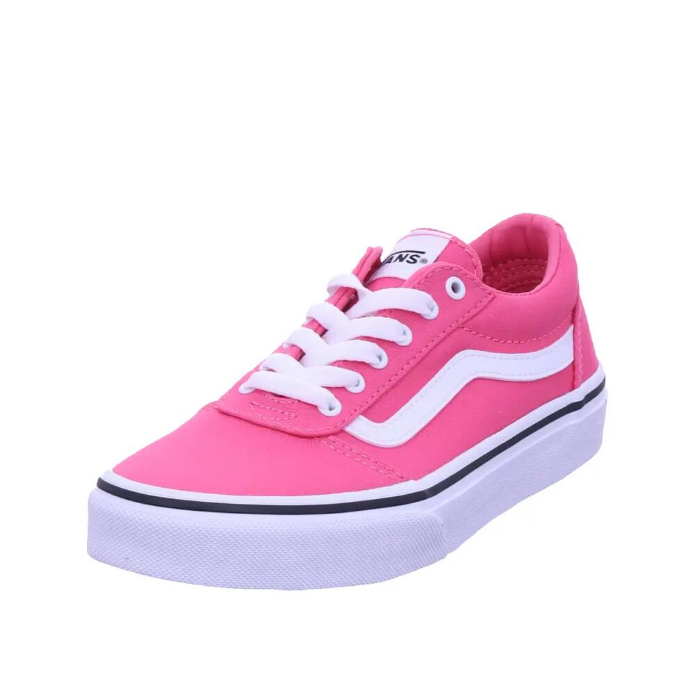 VANS picture
