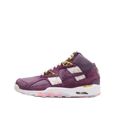 Nike air trainer sc high violet