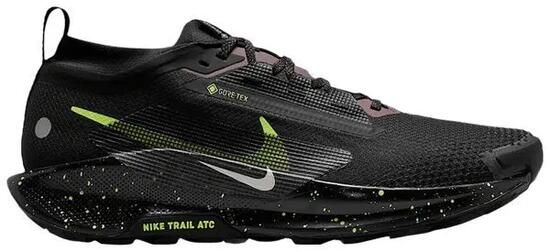Nike Pegasus Trail 5 GORE-TEX (Men)