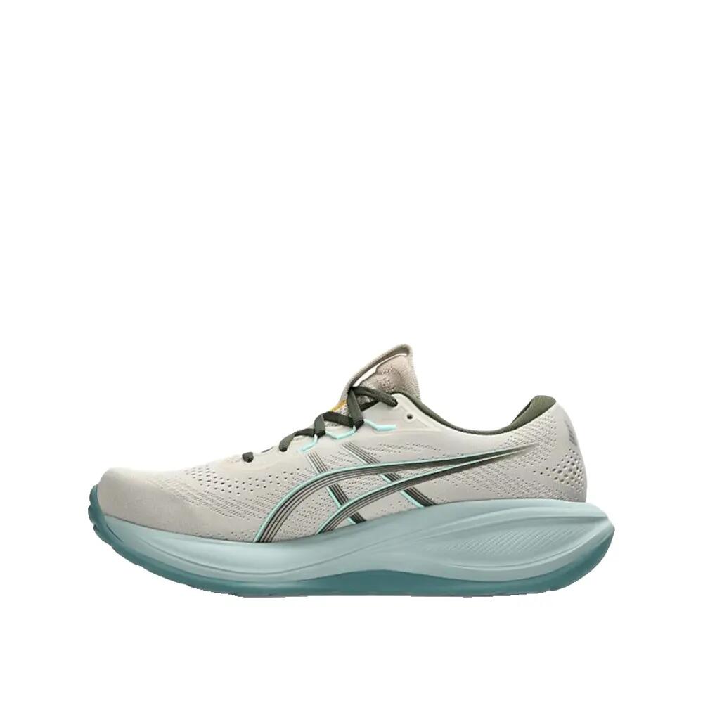ASICS picture