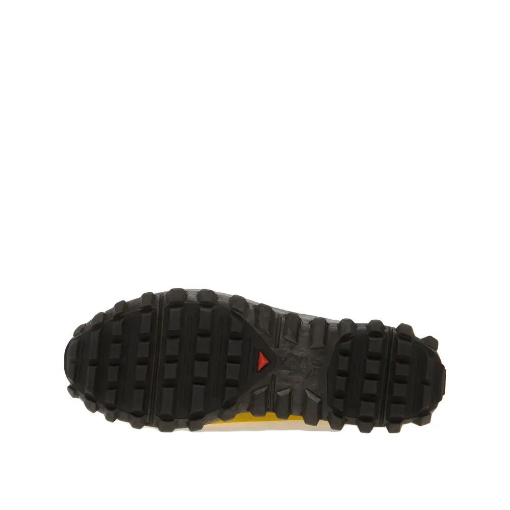 SALOMON picture
