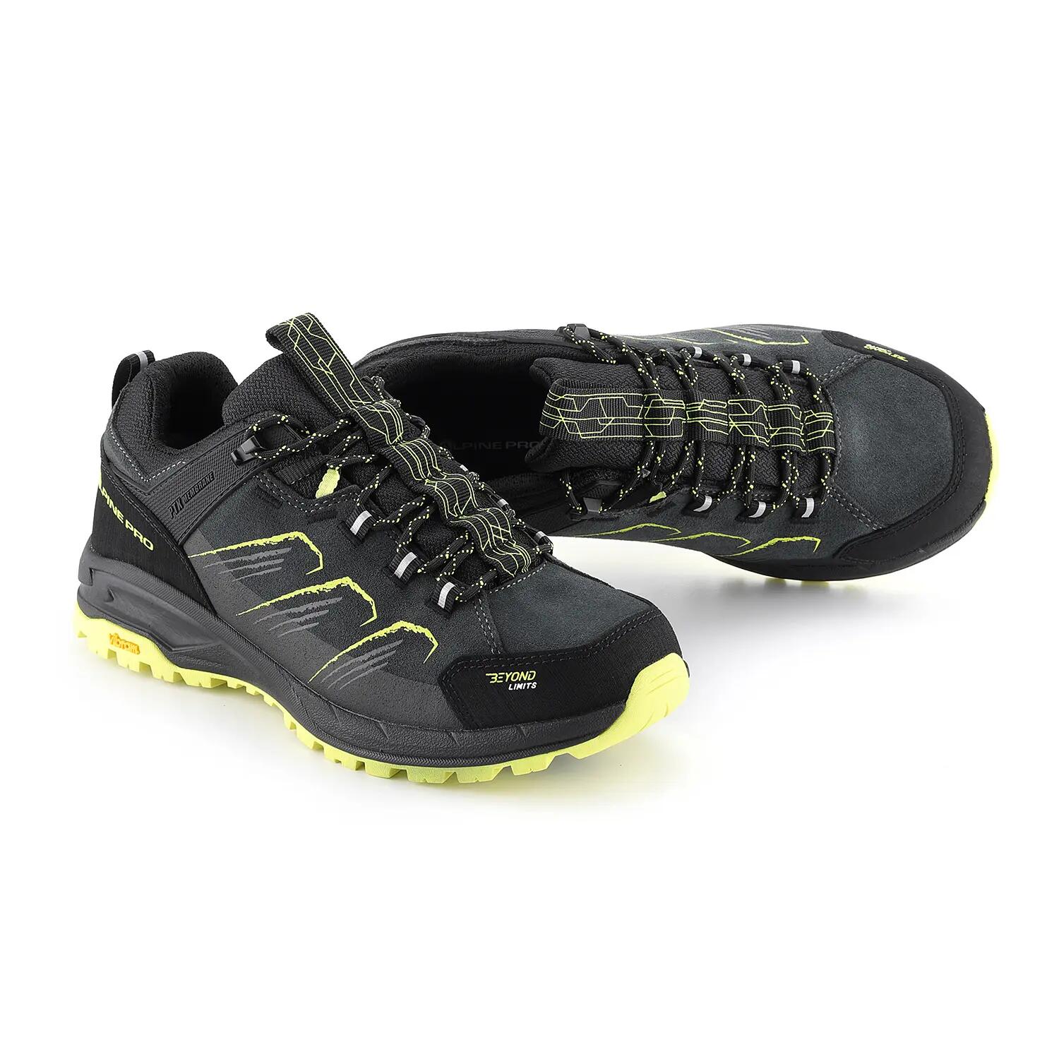 ALPINE PRO picture