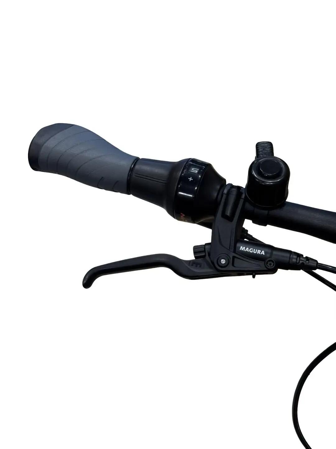 2ND life - E-Bike Pegasus Premio Evo 5 Belt Nexus - Excellent 5/13