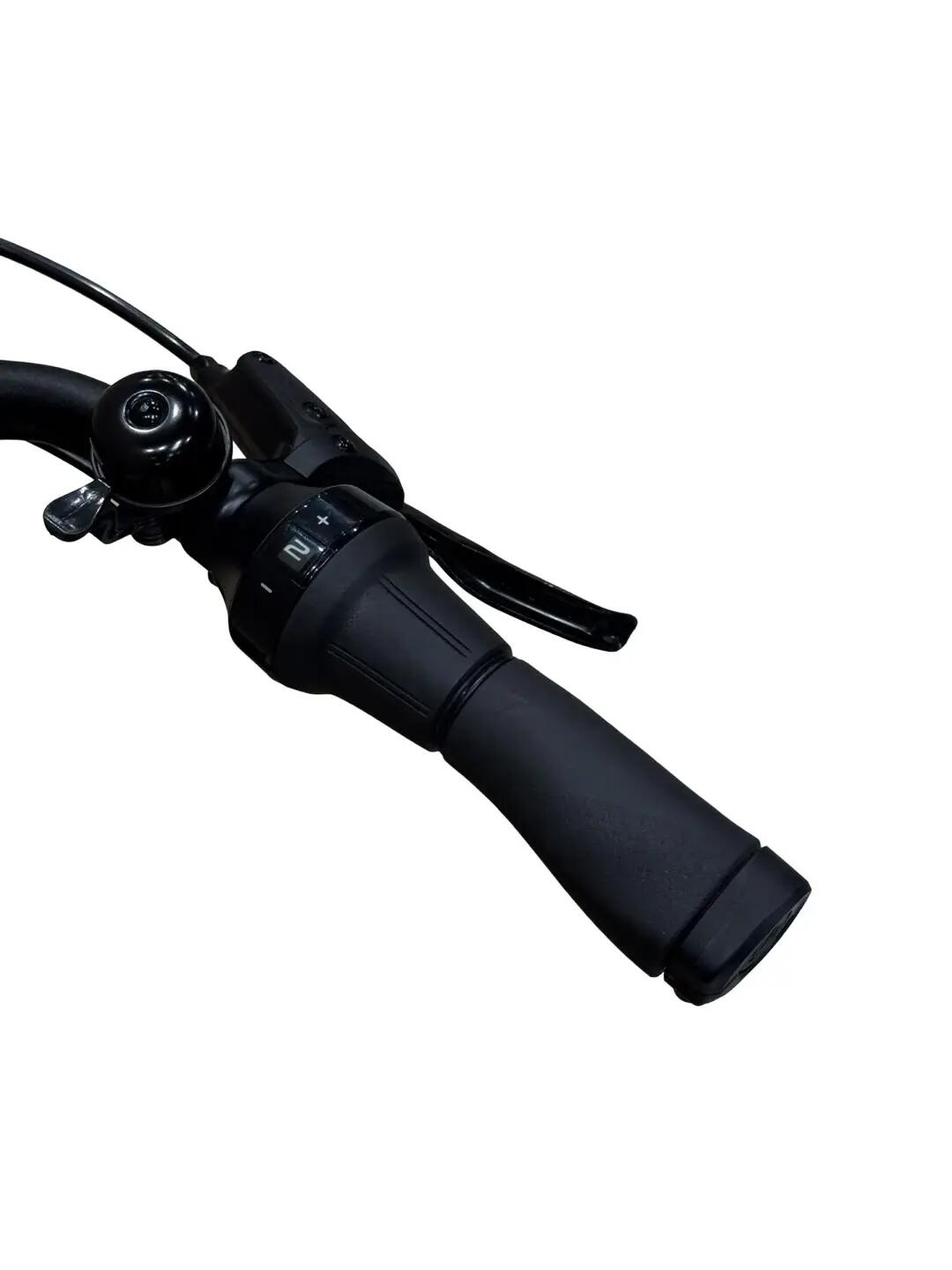 Refurbished - E-Bike Diamant Beryll Gen3 Nexus  - Wie neu 8/13