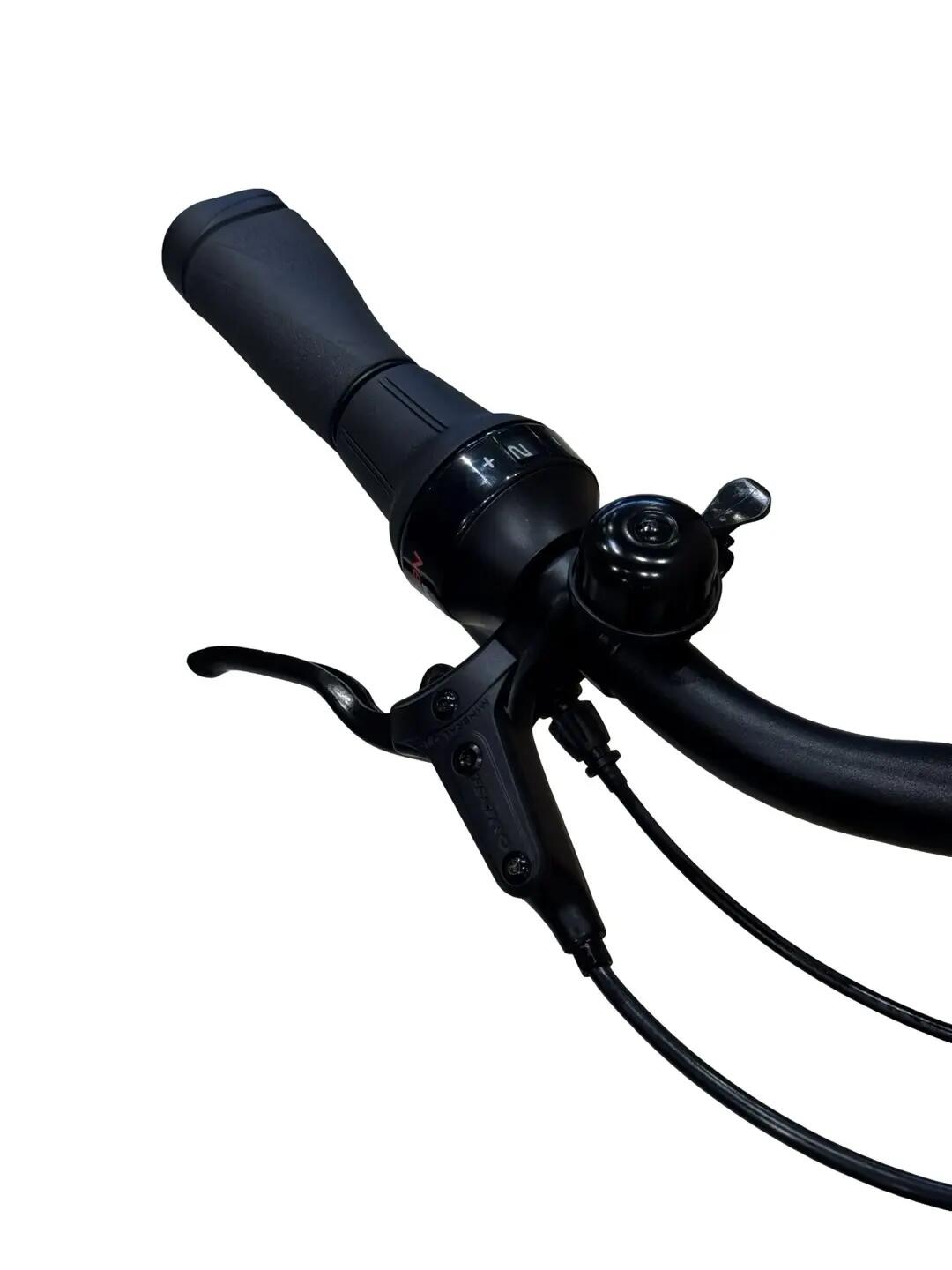 Refurbished - E-Bike Diamant Beryll Gen3 Nexus  - Wie neu 5/13