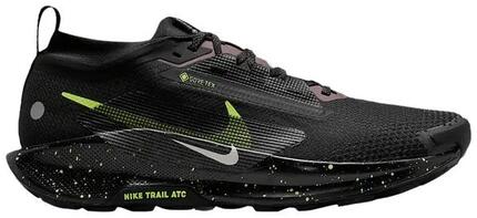 Nike Pegasus Trail 5 GORE-TEX (Men)