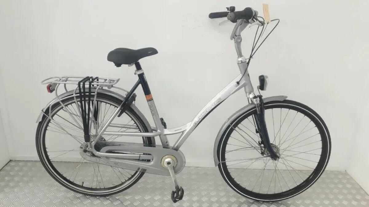 BATAVUS picture