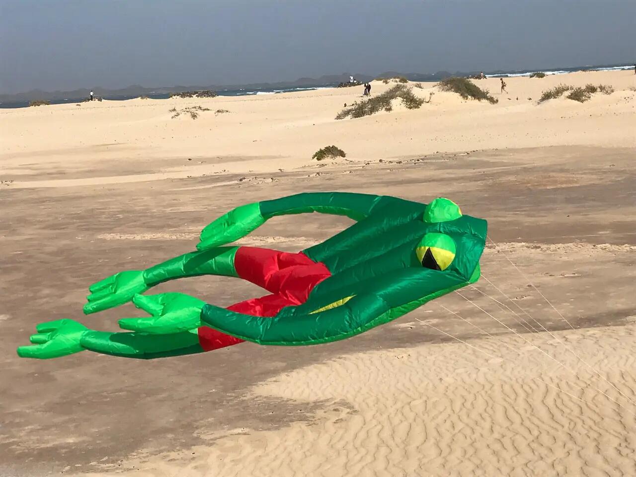 Einleiner Drachen Spiderkites Wonderfrog 30037 Grün 135 x 210 cm 9/10