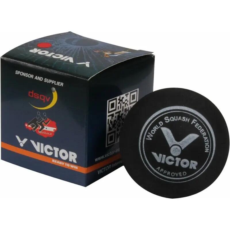 VICTOR picture