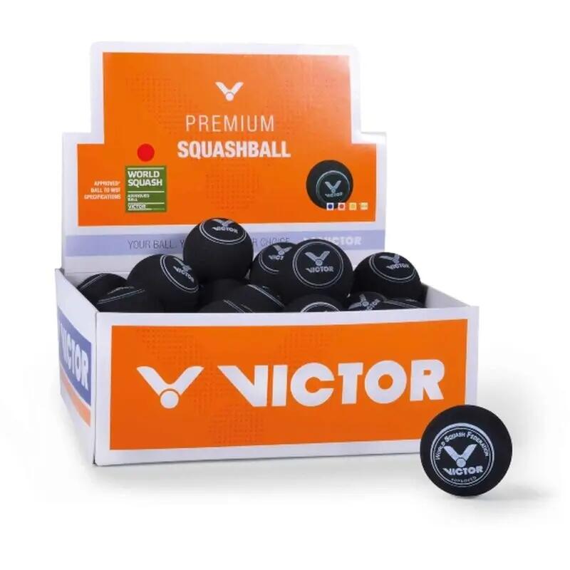 VICTOR picture