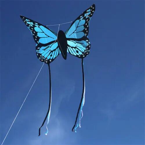 Cerf-volant pour enfants Wolkensturmer Bella Butterfly Blue 1165 Bleu 80 x 80 cm 8/10