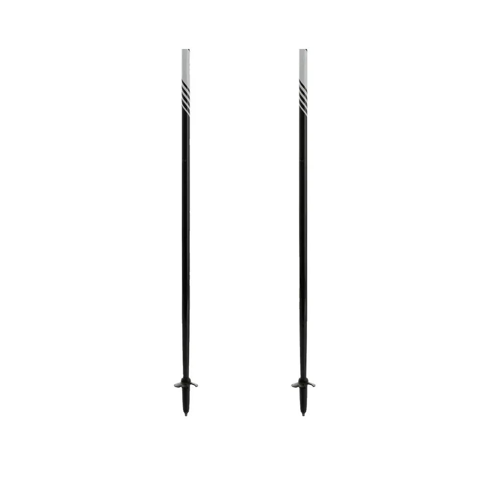 Bâtons de randonnée Dynafit Alpine Pro Carbone 4/6