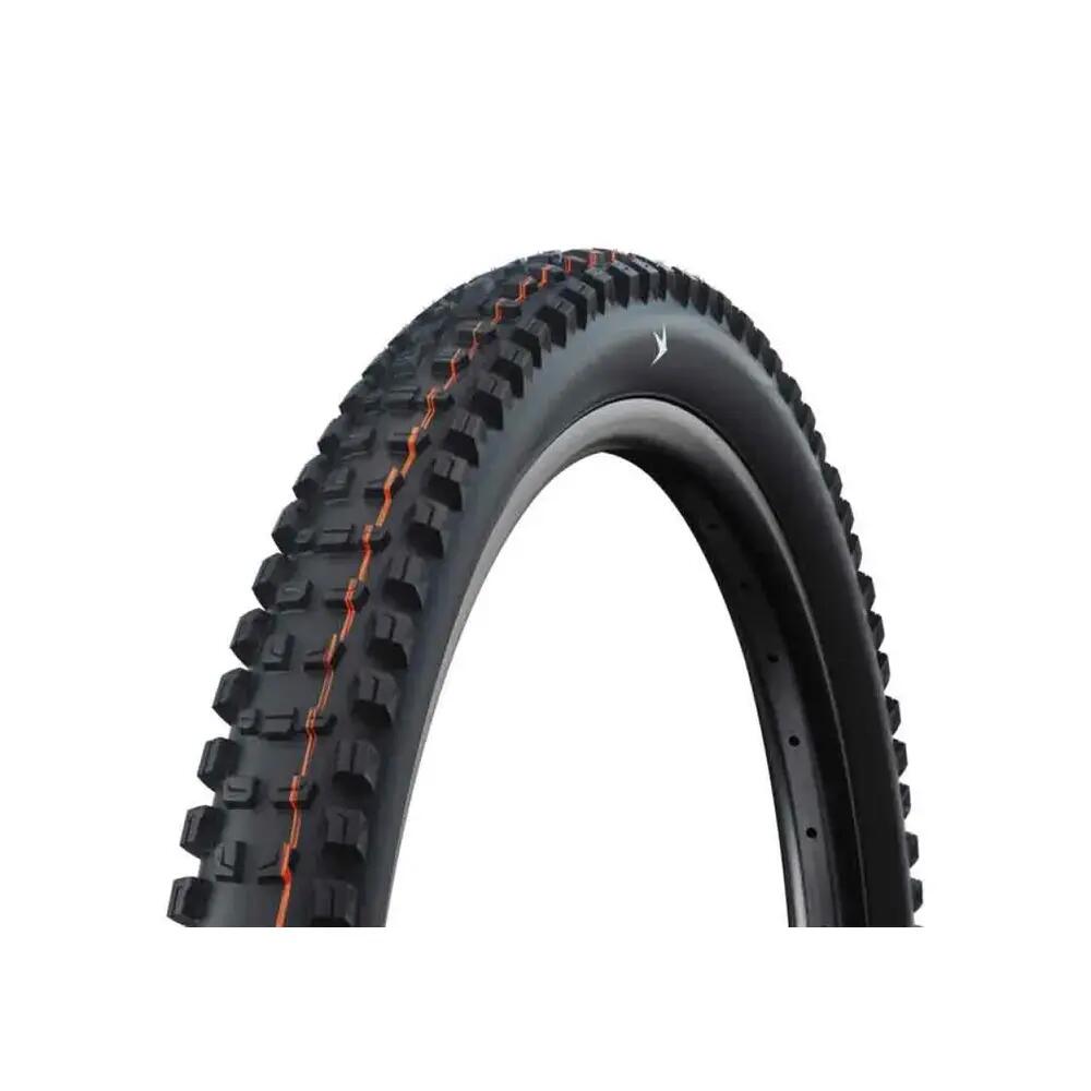 SCHWALBE picture