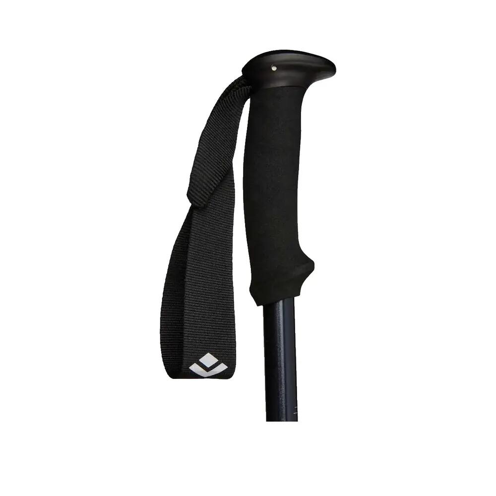 Wandelstokken Black Diamond Explorer 2 7/8