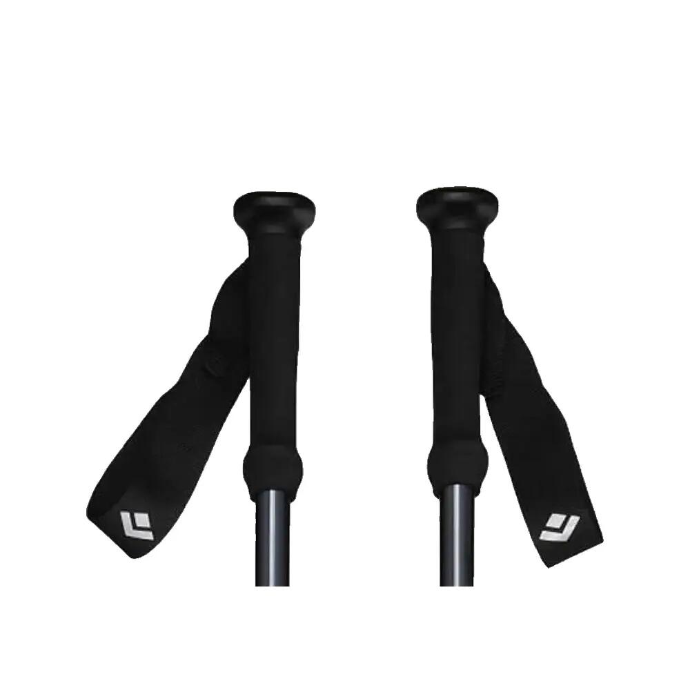 Wandelstokken Black Diamond Explorer 2 5/8
